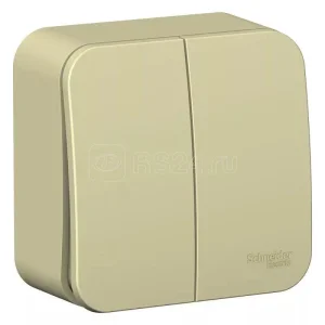 Выключатель двухклавишный ОП Blanca 10А IP20 (сх. 5) 250В с изолир. пластиной беж. SE BLNVA105017 SE