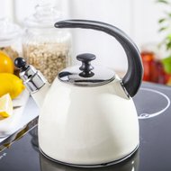 Чайники для приготовления на плите