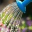 Для полива