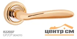 Ручка дверная HANDLE DESIGN ROSA R22037 GP/CP золото