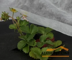 Укрывной материал (спанбонд) Удача 17 UV для рассады (3,2х10м)