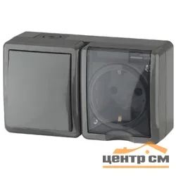 Блок ОП Эра Эксперт IP54, выключатель одноклавишный+розетка одноместнаяестная, серый (16АХ(10AX)-250В), арт.11-7401-03