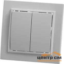 Выключатель двухклавишный СП 220V, 10А, белый (PSW10-9004-01) Эрна STEKKER