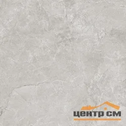 Керамогранит LAPARET Плуто Сильвер светло-серый матовый 59,50x59,50 арт. SG625820R
