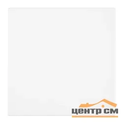 Переключатель одноклавишный (механизм) 250В 10A, белая магнолия, RSW10-3105-01 Мия STEKKER