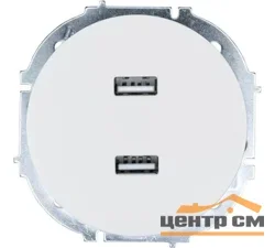 Розетка USB 2-местная СП Lezard OSEN белая