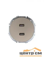 Розетка USB 2-местная СП Lezard OSEN титан